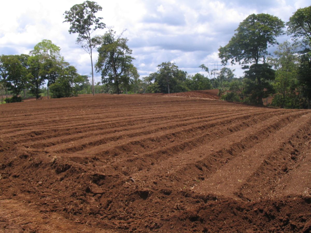 Seed Propagation & Nursery Trays