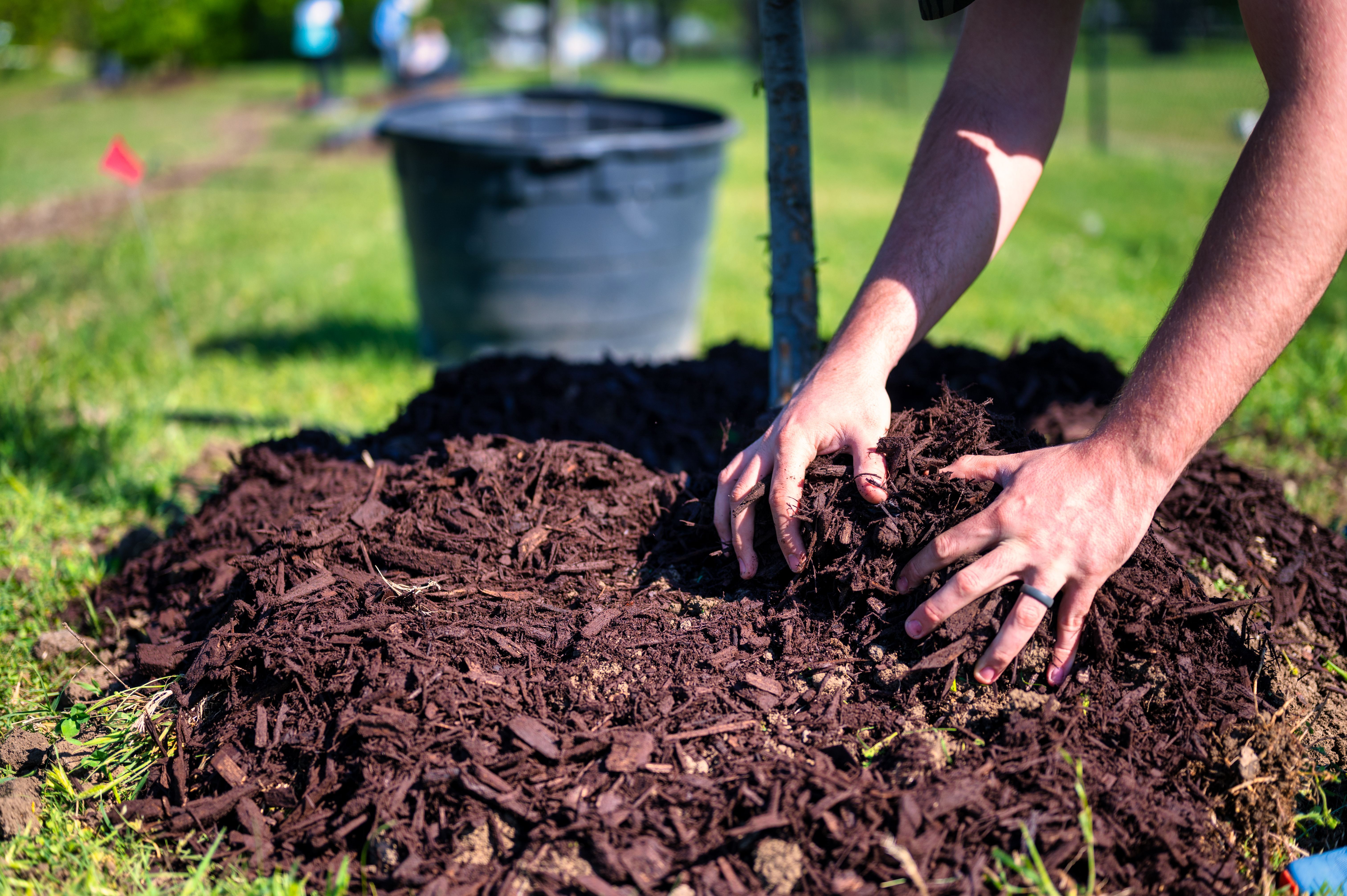Organic Mulch